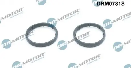 DRMOTOR Прокладка масляного радiатора, 2шт DR. MOTOR DRM0781S