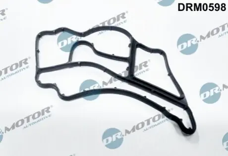 DRMOTOR Прокладка корпусу масляного фiльтра DR. MOTOR DRM0598 (фото 1)