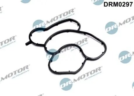 DRMOTOR Прокладка корпусу масляного фiльтра DR. MOTOR DRM0297