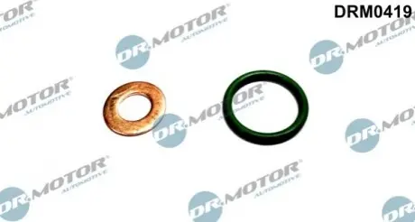 Ремкомплект форсунки 2 елементи DRMOTOR DR. MOTOR DRM0419 (фото 1)