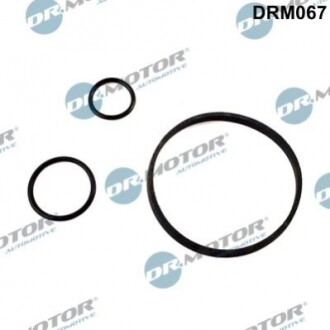 DRMOTOR К-т прокладок масляного фiльтра DR. MOTOR DRM067 (фото 1)
