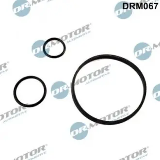 DRMOTOR К-т прокладок масляного фiльтра DR. MOTOR DRM067 (фото 1)
