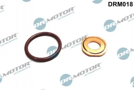 Ремкомплект форсунки 2 елементи DRMOTOR DR. MOTOR DRM018 (фото 1)