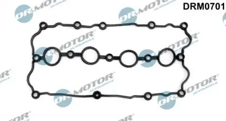 DRMOTOR Прокладка клапанної кришки DR. MOTOR DRM0701