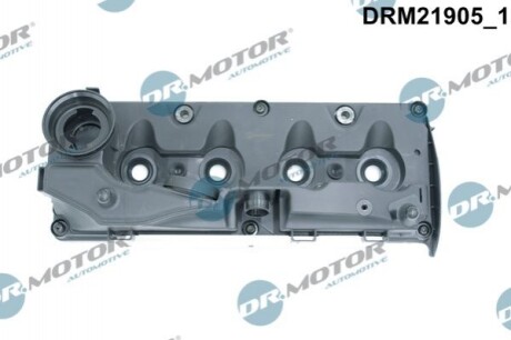 DRMOTOR Кришка головки цилiндра DR. MOTOR DRM21905 (фото 1)