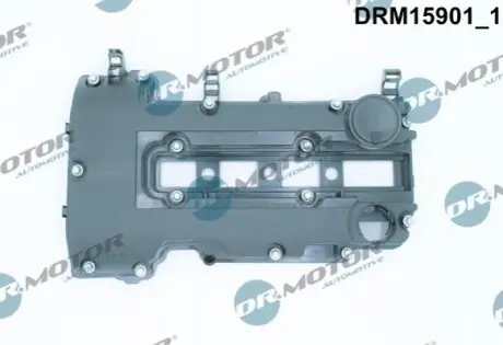 DRMOTOR Кришка головки цилiндра DR. MOTOR DRM15901 (фото 1)