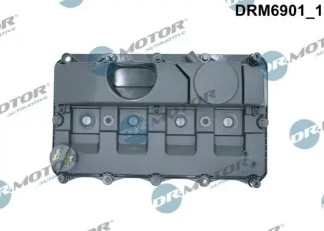 DRMOTOR Кришка головки цилiндра DR. MOTOR DRM6901 (фото 1)
