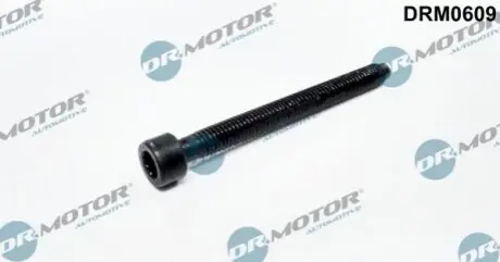 DRMOTOR Болт крiплення форсунки DR. MOTOR DRM0609 (фото 1)