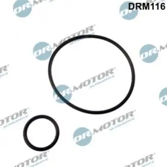 Прокладка колектора 2 шт DRMOTOR DR. MOTOR DRM116 (фото 1)