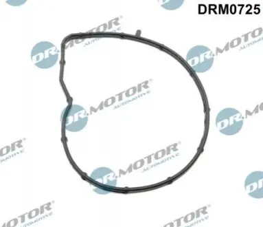 DRMOTOR Прокладка помпи води DR. MOTOR DRM0725