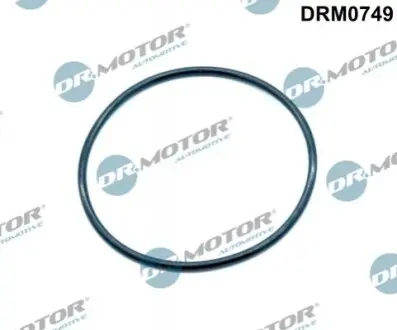 Прокладка колектора DRMOTOR DR. MOTOR DRM0749 (фото 1)