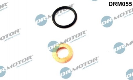 Ремкомплект форсунки DRMOTOR DR. MOTOR DRM055 (фото 1)