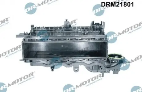 DRMOTOR Колектор впускний DR. MOTOR DRM21801 (фото 1)