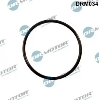 DRMOTOR Ущiльнююче кiльце DR. MOTOR DRM034 (фото 1)