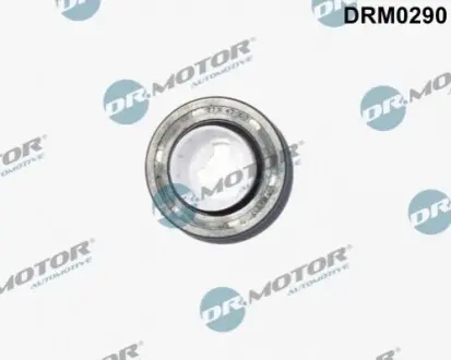 Сальники валу DRMOTOR DR. MOTOR DRM0290