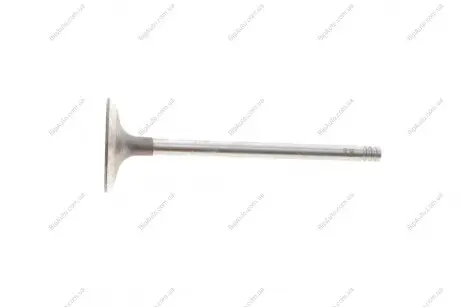 Клапан (впуск) Renault Kangoo 1.5dci 01- (33.45x5.98x101) FEBI BILSTEIN 183492