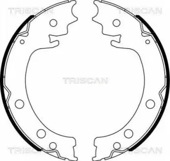 Комплект гальмівних колодок, Стоянкове гальмо TRISCAN 810069006