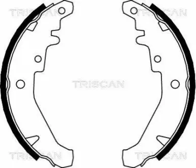 Комплект гальмівних колодок TRISCAN 810015026