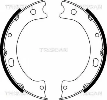 Комплект гальмівних колодок, Стоянкове гальмо TRISCAN 810014011