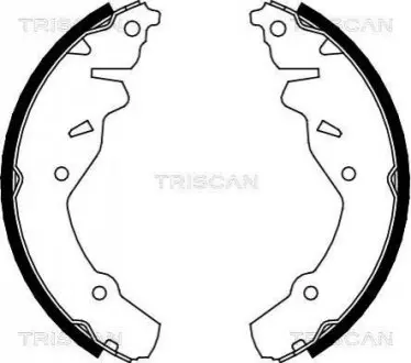 Комплект гальмівних колодок TRISCAN 810080002