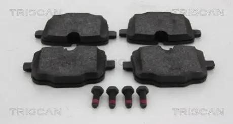 Колодки гальмівні задні TRISCAN 811011043