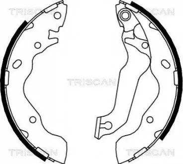 Комплект гальмівних колодок TRISCAN 810043013