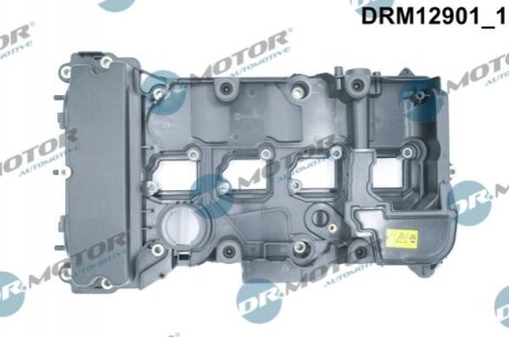 DRMOTOR Кришка головки цилiндра DR. MOTOR DRM12901 (фото 1)