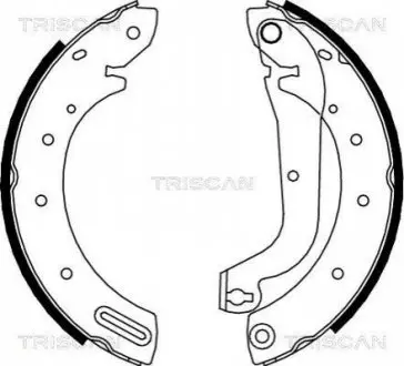 Колодки тормозные задние барабанные TRISCAN 810014596