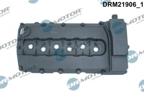 DRMOTOR Кришка головки цилiндра пластмаса DR. MOTOR DRM21906 (фото 1)