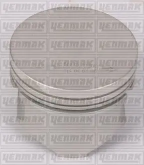 Поршень с кольцами і пальцем RENAULT Kangoo 1.2 (размер отв. 69 / STD) (DF 7 700/701/702/706/710/720/722/726/720/730/726) Yenmak 31-04155-000