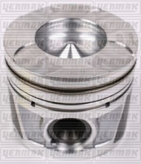 Поршень з кільцями і пальцем (розмір отв. 79.5 / STD) FIAT Doblo 1.6 Multijet 10- (Euro5) Yenmak 31-04292-000 (фото 1)