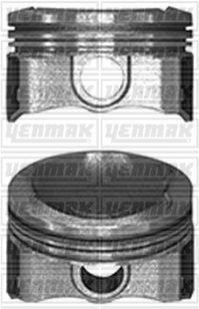 Поршень з кільцями і пальцем (розмір отв. 75,00/STD) CITROEN C-Elysee 1,2VTi Yenmak 31-04105-000 (фото 1)
