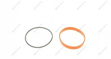 Прокладка клапана EGR BMW 3 (E36/E90/E46)/5 (E39/E60) 2.0-3.0D 95-11 (M47/M57) AIC 59387SET (фото 1)