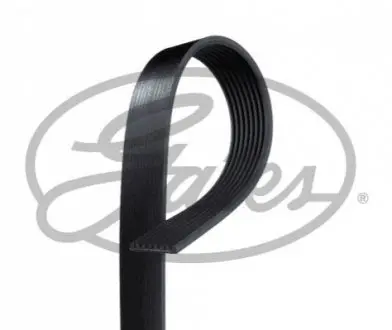 GT Gates 8PK1553HD