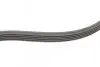 Ремінь генератора Ford Focus 1.4/1.6i 03-/Volvo C30/S40/V50 1.6 05-12 (6PK1059 ELAST+5PK868 ELAST) CONTINENTAL Contitech 6PK1059 ELAST T2 (фото 2)