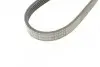 Ремінь генератора Ford Focus 1.4/1.6i 03-/Volvo C30/S40/V50 1.6 05-12 (6PK1059 ELAST+5PK868 ELAST) CONTINENTAL Contitech 6PK1059 ELAST T2 (фото 3)