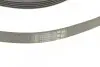 Ремінь генератора Ford Focus 1.4/1.6i 03-/Volvo C30/S40/V50 1.6 05-12 (6PK1059 ELAST+5PK868 ELAST) CONTINENTAL Contitech 6PK1059 ELAST T2 (фото 4)