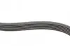 Ремінь генератора Ford Focus 1.4/1.6i 03-/Volvo C30/S40/V50 1.6 05-12 (6PK1059 ELAST+5PK868 ELAST) CONTINENTAL Contitech 6PK1059 ELAST T2 (фото 6)