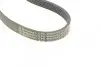 Ремінь генератора Ford Focus 1.4/1.6i 03-/Volvo C30/S40/V50 1.6 05-12 (6PK1059 ELAST+5PK868 ELAST) CONTINENTAL Contitech 6PK1059 ELAST T2 (фото 7)