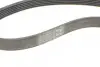 Ремінь генератора Ford Focus 1.4/1.6i 03-/Volvo C30/S40/V50 1.6 05-12 (6PK1059 ELAST+5PK868 ELAST) CONTINENTAL Contitech 6PK1059 ELAST T2 (фото 8)