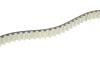 Комплект ГРМ Land Rover Discovery/Range Rover 3.0 TD 09- (20x80z) HEPU 20-2073 (фото 3)