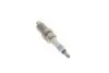 Свічка запалення Nissan Primera 2.0 16V 99-02 0 242 236 541 BOSCH 0242236541 (фото 3)