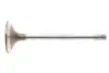 Клапан (впуск) Fiat Ducato 2.5-2.8JTD -06 (41x8x120.8) MAHLE 007 VE 30720 000