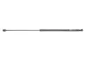 Амортизатор капоту VW Passat 10-14 (GS1054) MAGNETI MARELLI 430719105400