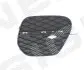 Решітка в бампер BMW X5 (E70), 04.10 - 11.13 SIGNEDA PBM99114CAR