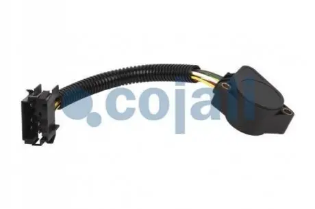 CJ Cojali 2260369
