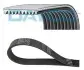 Доріжковий пас DAYCO 10PK1745HD (фото 1)