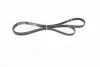 GATES Ремінь 6PK2168
