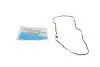 Прокладка піддону Audi Q5/Q7/Q8/VW Touareg 15- REINZ 71-12488-00