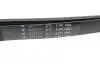 Ремінь генератора Fiat Scudo/Citroen Berlingo/VW Golf IV 1.8/1.9TDI 97- (6PK1660) HUTCHINSON 1660 K 6 (фото 3)